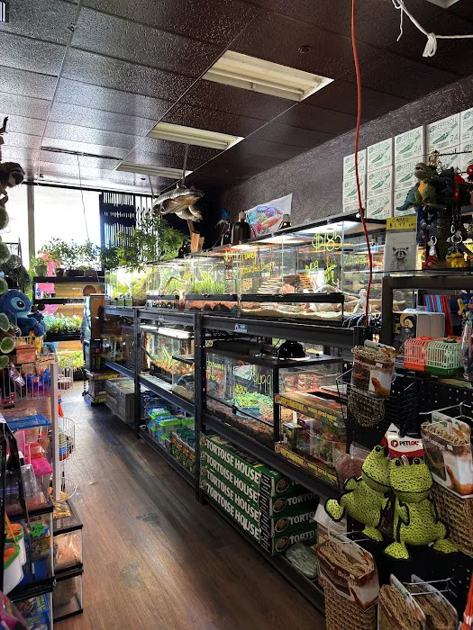 Seven Wonders Pets Picture 4