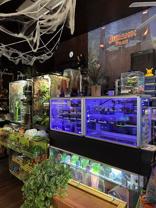 Seven Wonders Pets Picture 9