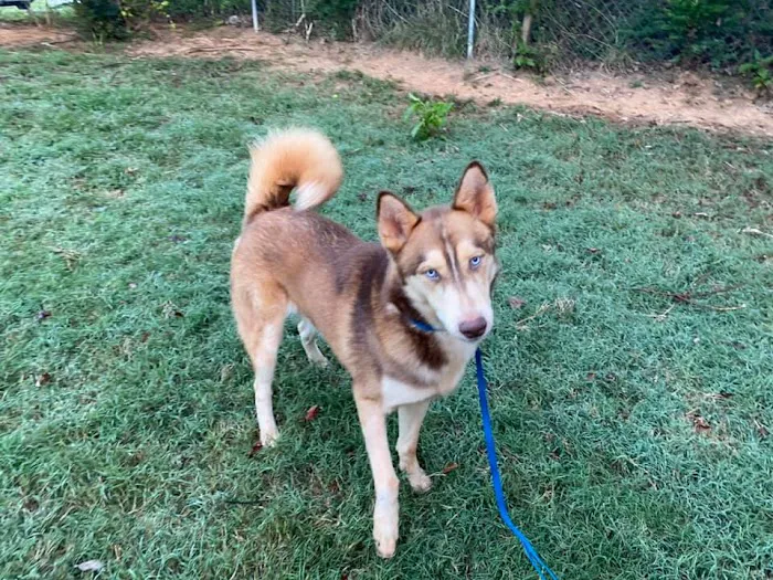 Bedford Animal Hospital Picture 1