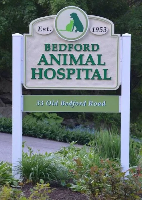 Bedford Animal Hospital Picture 2