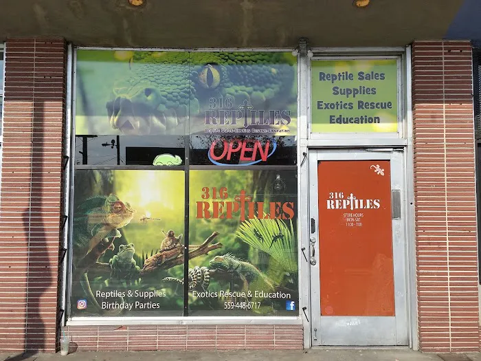 316 Reptiles Picture 1