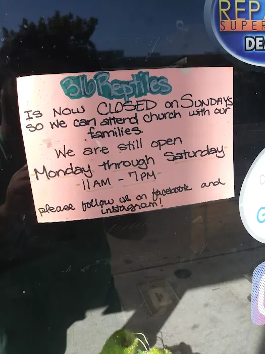 316 Reptiles Picture 3