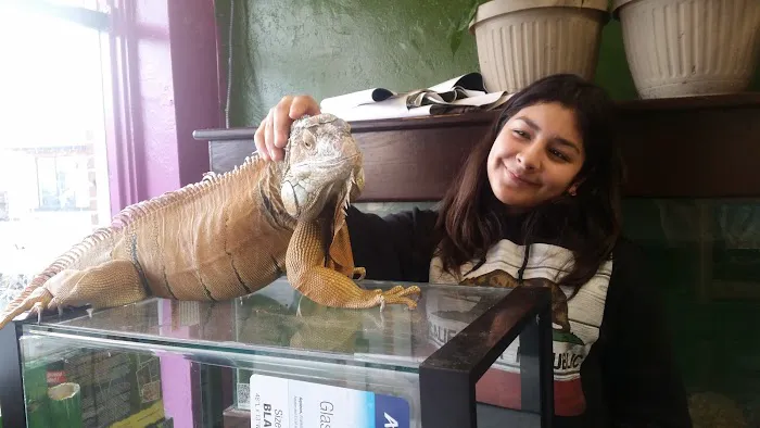 316 Reptiles Picture 5