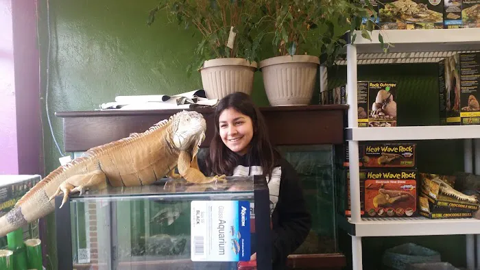 316 Reptiles Picture 4