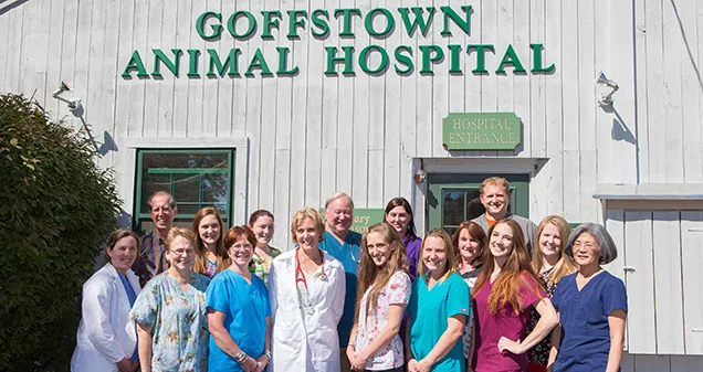 Goffstown Animal Hospital Picture 3