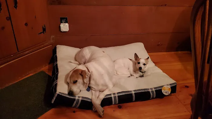 Goffstown Animal Hospital Picture 5