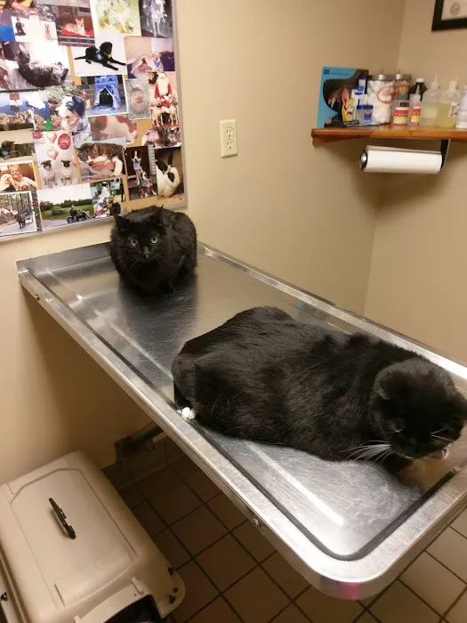 Goffstown Animal Hospital Picture 8