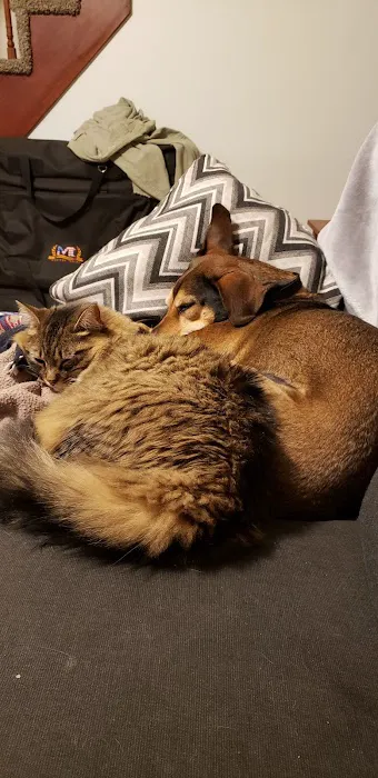 Goffstown Animal Hospital Picture 9