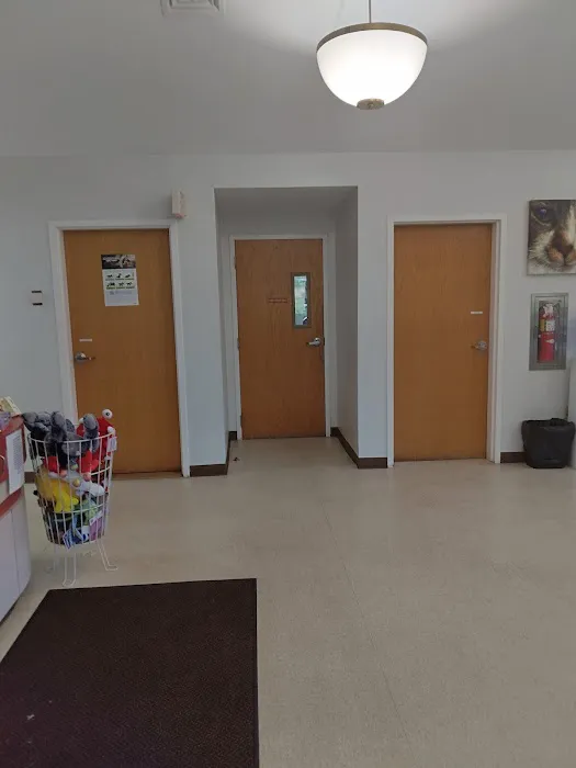 Walpole Veterinary Hospital Picture 2