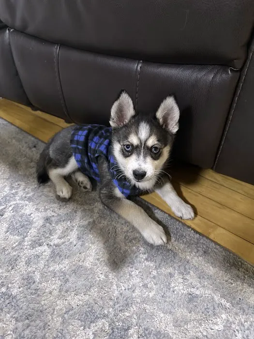 Walpole Veterinary Hospital Picture 3