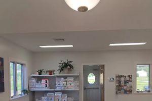 Auto Service Center