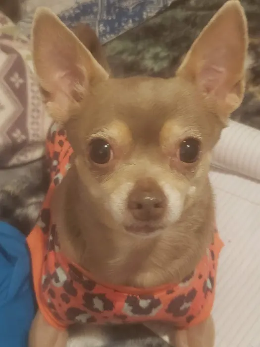 Walpole Veterinary Hospital Picture 4