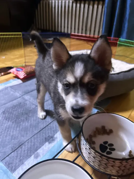 Walpole Veterinary Hospital Picture 6