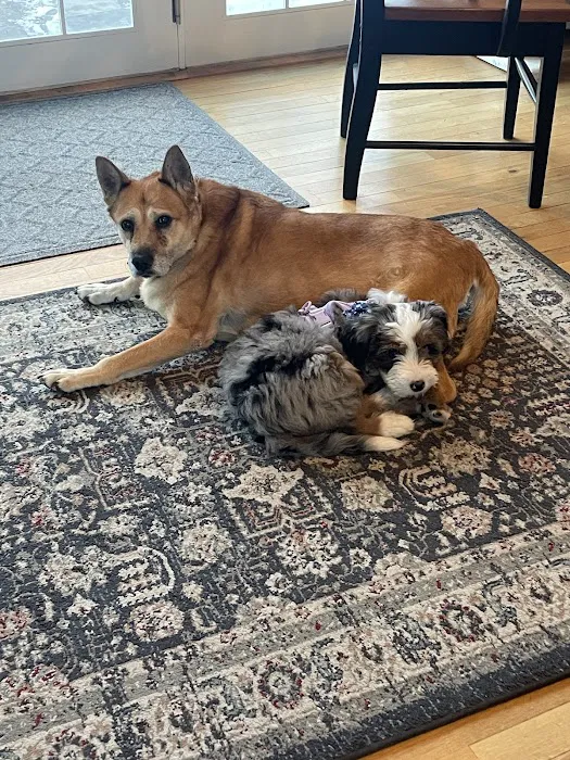 Walpole Veterinary Hospital Picture 5