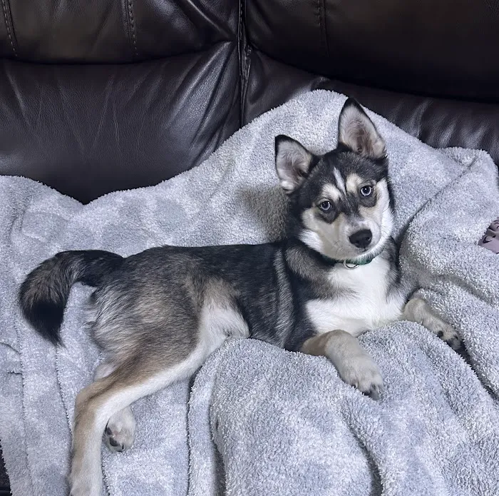 Walpole Veterinary Hospital Picture 9