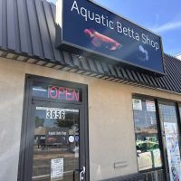 Aquatic Betta Shop ico