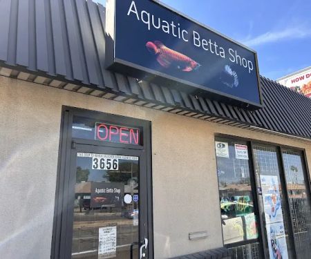 Aquatic Betta Shop