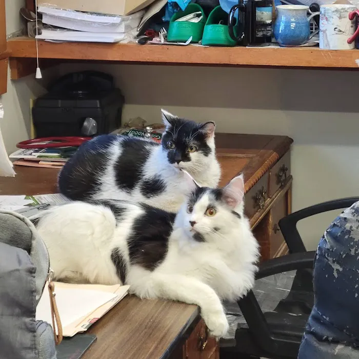 Westminster Animal Hospital Picture 8