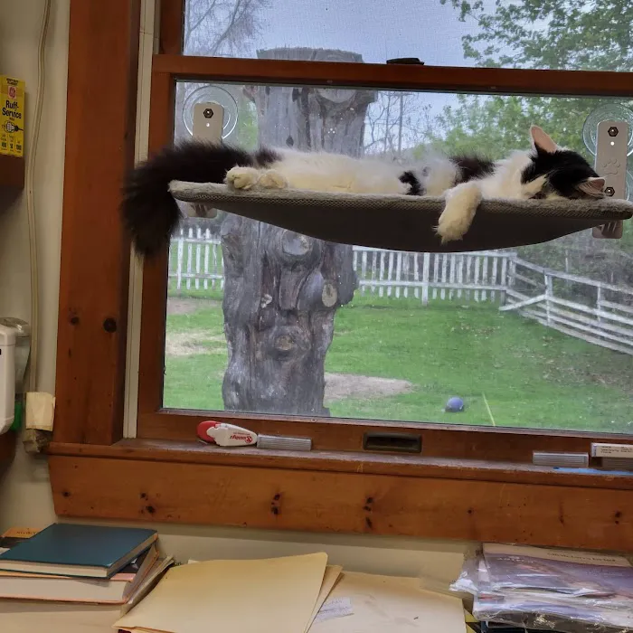 Westminster Animal Hospital Picture 9