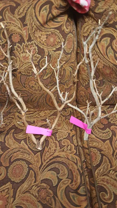 Bobo Fish Farm Picture 2