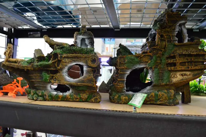 Bobo Fish Farm Picture 1