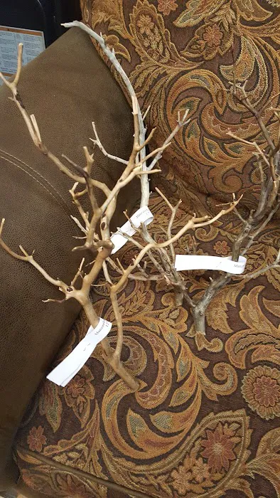 Bobo Fish Farm Picture 6