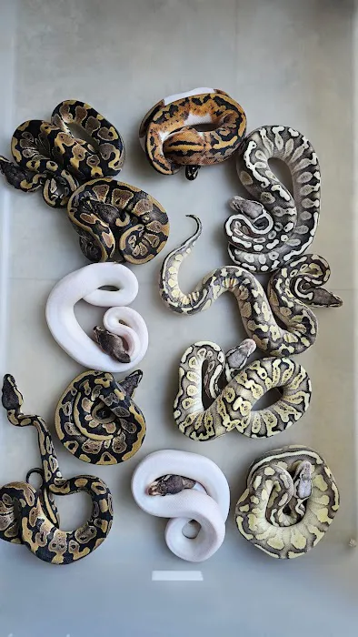 Aquatic Pets and Reptiles Picture 1