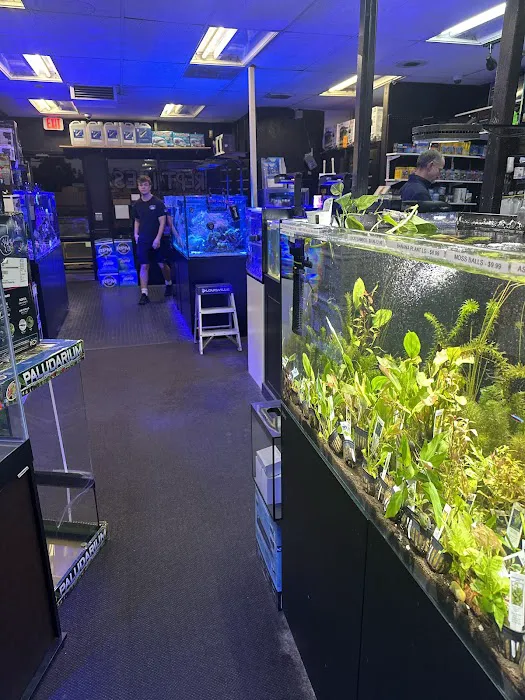 Aquatic Pets and Reptiles Picture 2