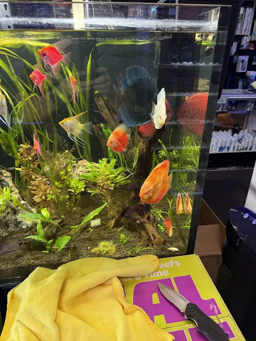 Aquatic Pets and Reptiles Picture 6