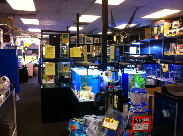 Aquatic Pets and Reptiles Picture 5