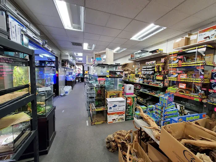 Aquatic Pets and Reptiles Picture 9