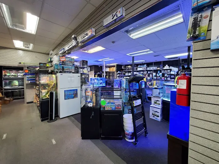 Aquatic Pets and Reptiles Picture 10