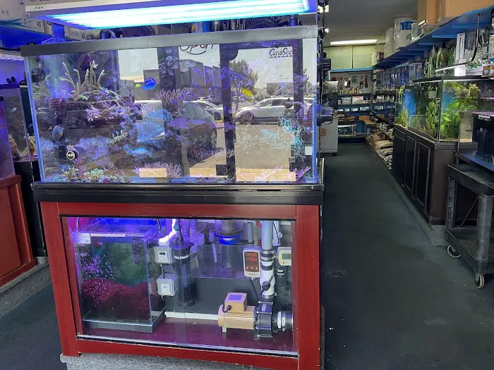 Seven Seas Aquarium Picture 3