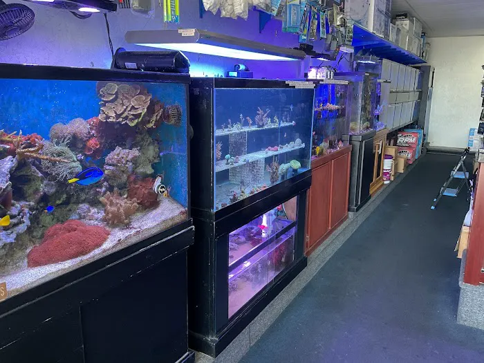 Seven Seas Aquarium Picture 2