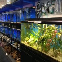 Seven Seas Aquarium ico