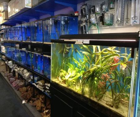 Seven Seas Aquarium