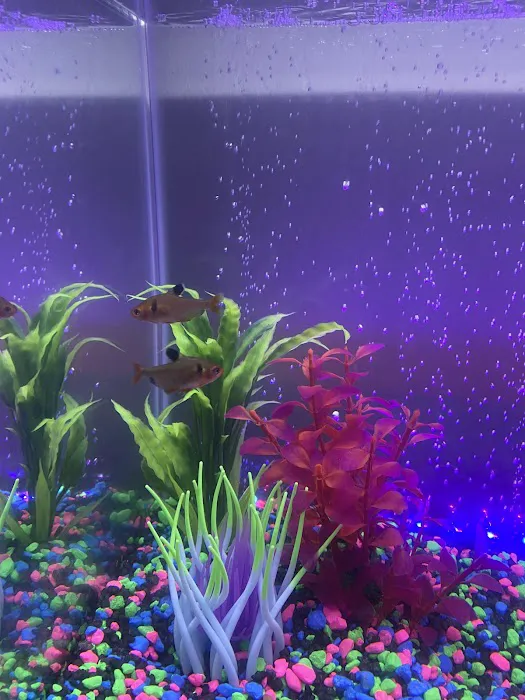 Seven Seas Aquarium Picture 5