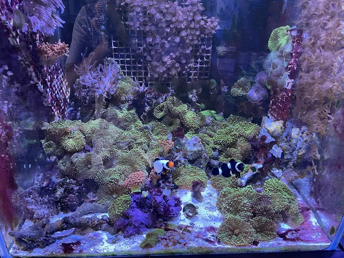 Seven Seas Aquarium Picture 9