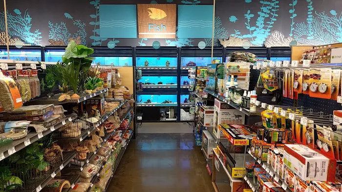 Petco Picture 2