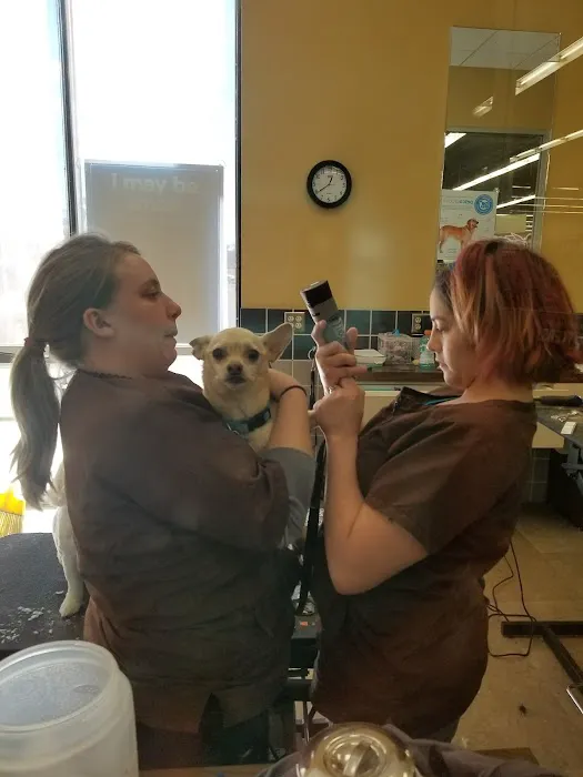 Petco Picture 6