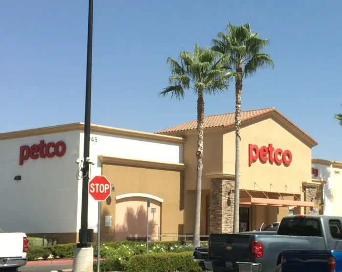 Petco Picture 8