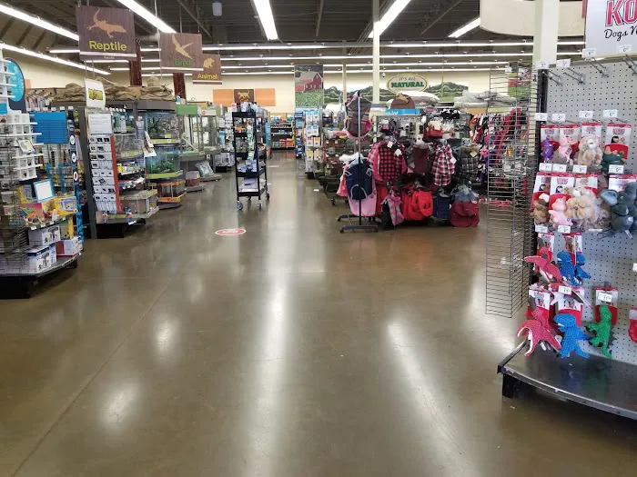 Petco Picture 9