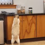 Quarry Hills Animal Hospital