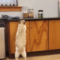 Quarry Hills Animal Hospital ico