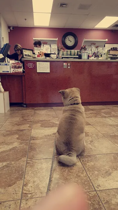 Quarry Hills Animal Hospital Picture 9