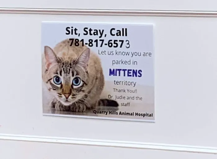 Quarry Hills Animal Hospital Picture 10
