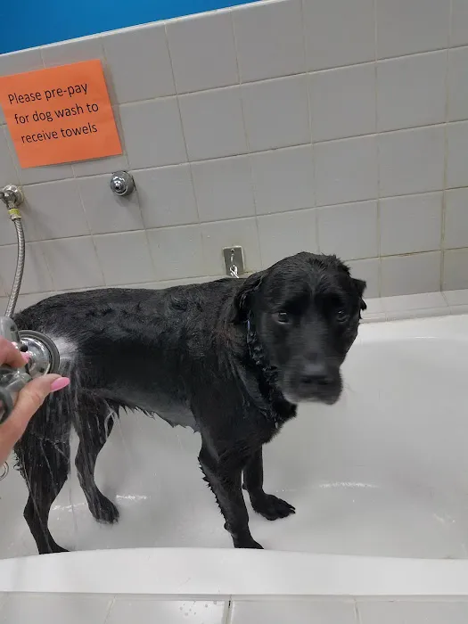 Pet Supplies Plus Clovis Picture 1