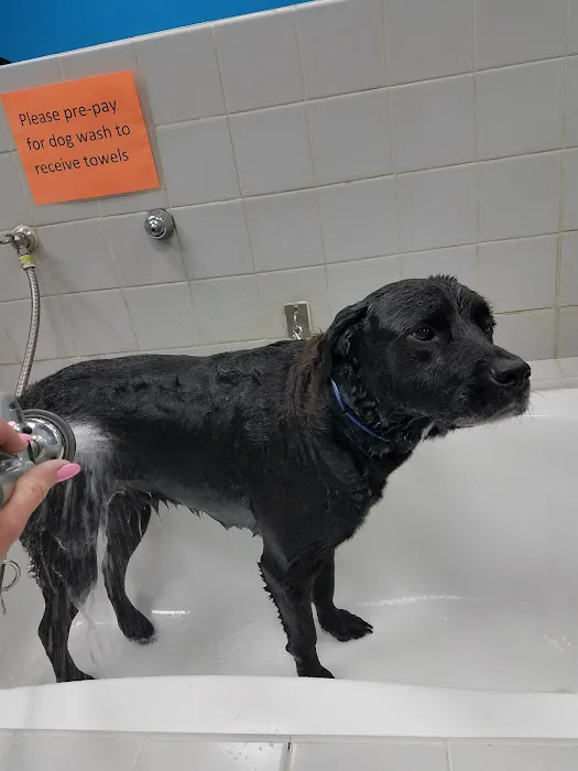 Pet Supplies Plus Clovis Picture 6