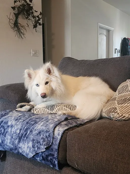 Pet Supplies Plus Clovis Picture 4