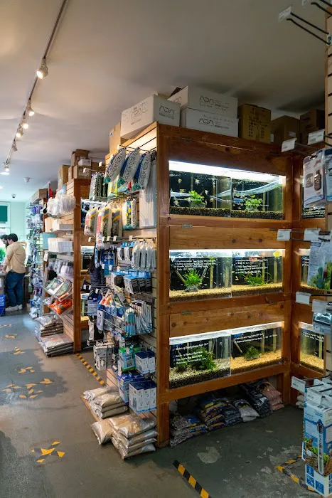 Aqua Forest Aquarium Picture 4